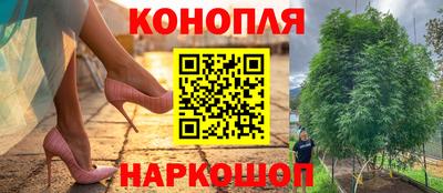 ГАЛЛЮЦИНОГЕННЫЕ ГРИБЫ Ачхой-Мартан